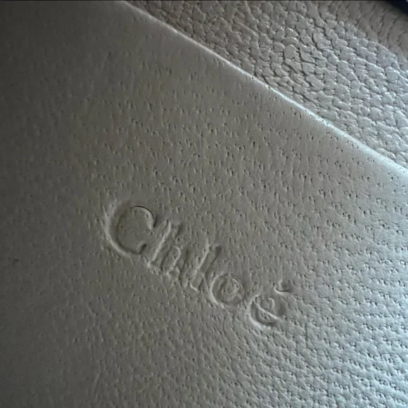 Chloe small Nile metallic leather minaudiere - Picture 7 of 10